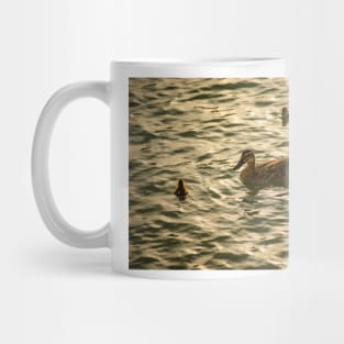 Mallard Ducks Mug